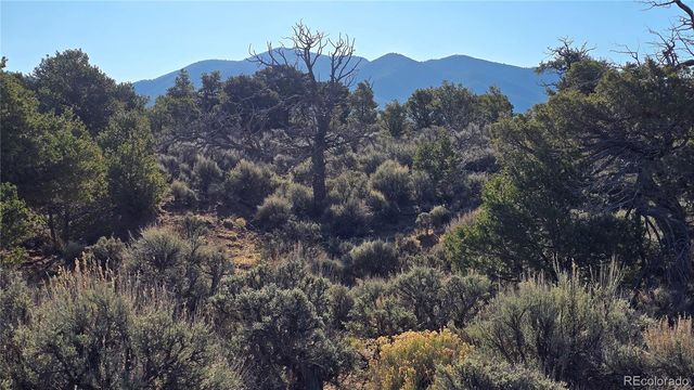 Lot 3715 Hartgrave Road, Fort Garland, CO 81133