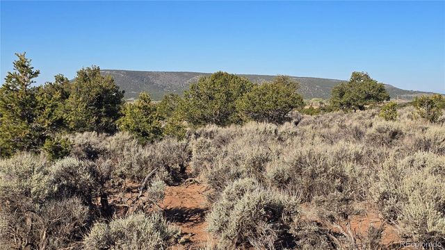 Lot 3715 Hartgrave Road, Fort Garland, CO 81133