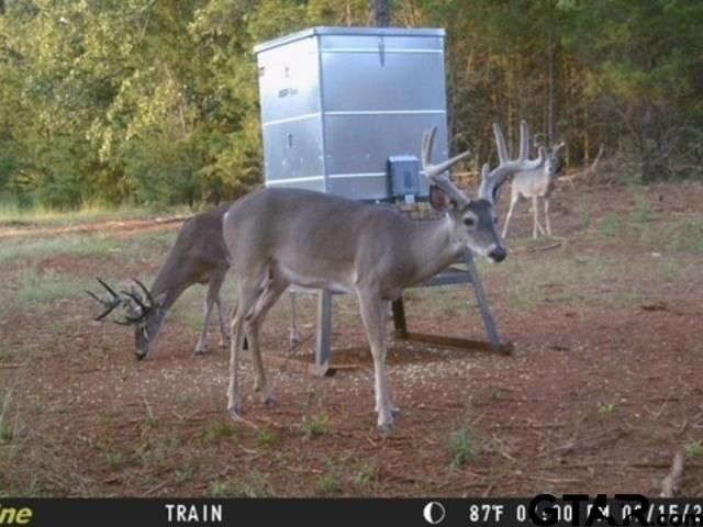 16092 C R 440, Lindale, TX 75771