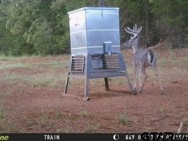 16092 C R 440, Lindale, TX 75771