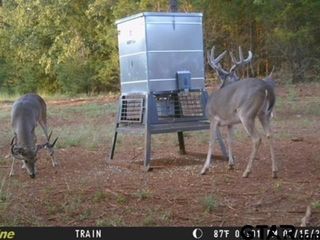 16092 C R 440, Lindale, TX 75771