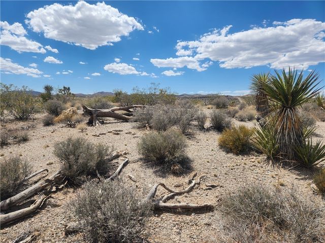 27475 N Driftwood Drive, Meadview, AZ 86444