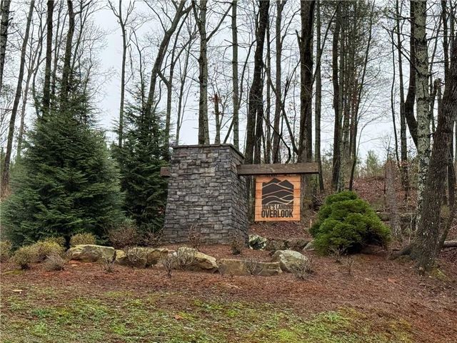 0 Lake Top Lane, Ellijay, GA 30536