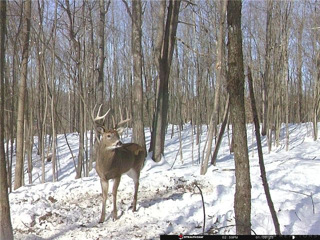 34292 State Route 41, Peebles, OH 45660