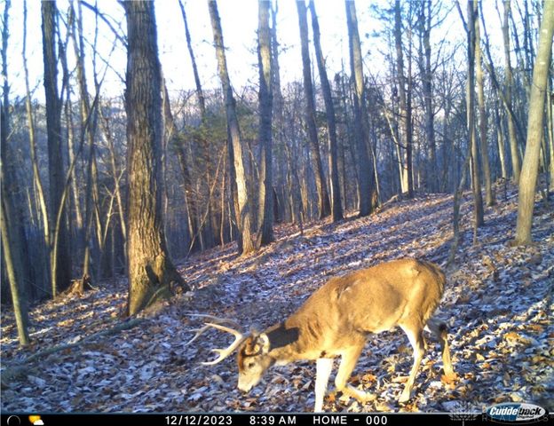 34292 State Route 41, Peebles, OH 45660