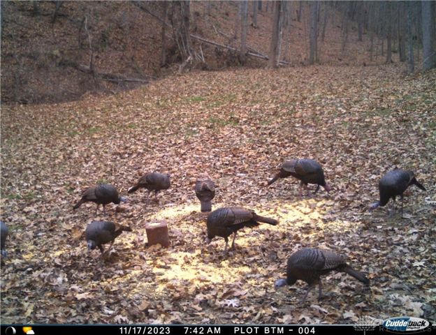 34292 State Route 41, Peebles, OH 45660