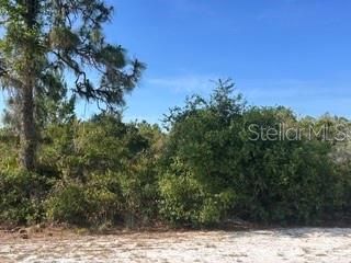 713 (BLK 123 LOTS 15&16) CAMELLIA DRIVE, Indian Lake Estates, FL 33855