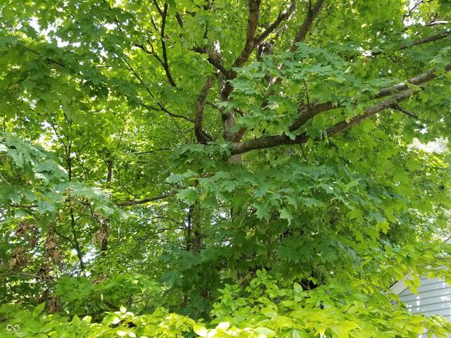 8732 Woodpointe Circle, Indianapolis, IN 46234