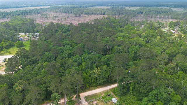 TBD Pine Crest Street, Shepherd, TX 77371