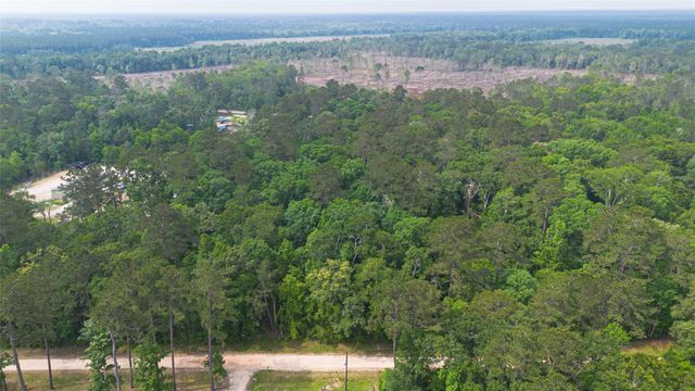 TBD Pine Crest Street, Shepherd, TX 77371