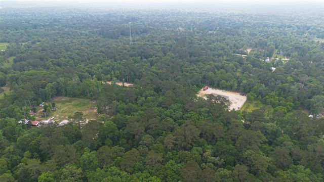 TBD Pine Crest Street, Shepherd, TX 77371