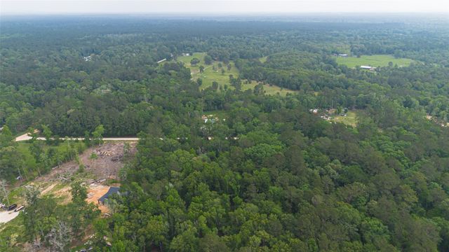TBD Pine Crest Street, Shepherd, TX 77371