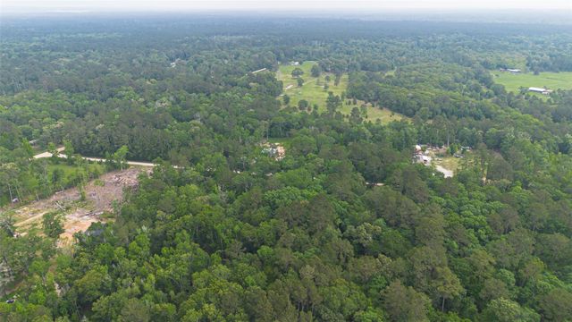 TBD Pine Crest Street, Shepherd, TX 77371