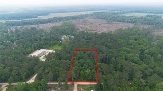 TBD Pine Crest Street, Shepherd, TX 77371