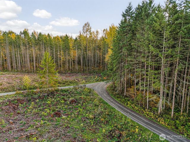 1 xxx 16th Avenue E, Roy, WA 98580