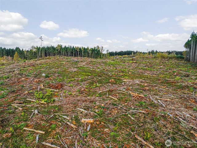 1 xxx 16th Avenue E, Roy, WA 98580