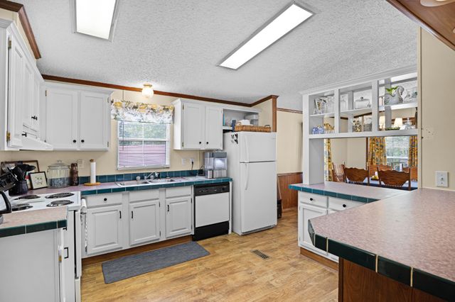 156 Chuckwood Dr, Springville, TN 38256