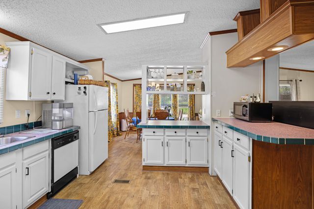 156 Chuckwood Dr, Springville, TN 38256