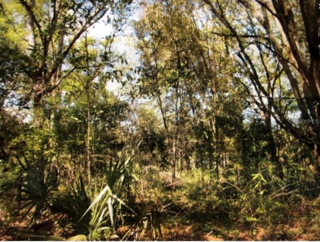 0 NE 123RD AVENUE, Williston, FL 32696