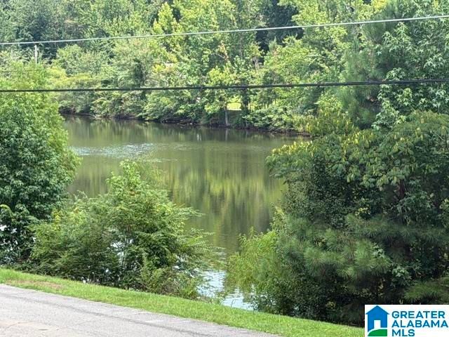 2606 RAINIER DRIVE NE, Center Point, AL 35215