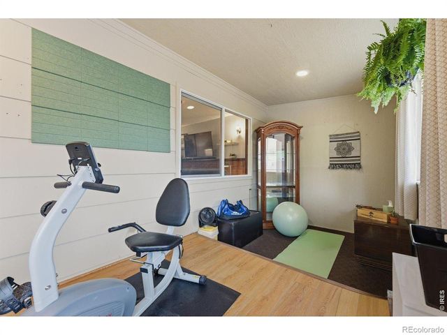 342 Limber Place, Loveland, CO 80538