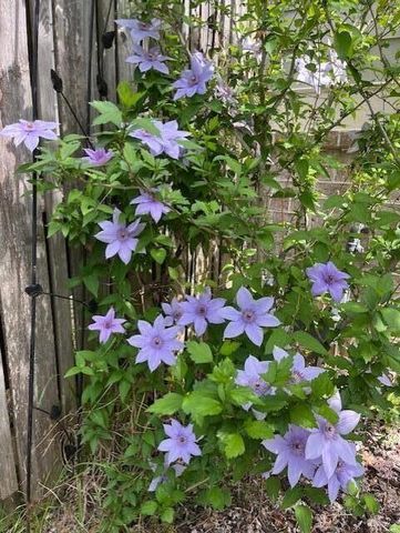 2211 Millshaven Trail, Evans, GA 30809