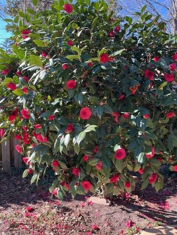 2211 Millshaven Trail, Evans, GA 30809