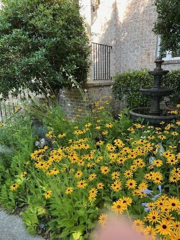 2211 Millshaven Trail, Evans, GA 30809