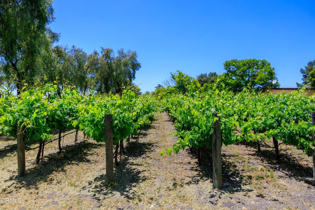 Image 4 of property listing at 2851 Tapadero Road, Solvang, CA 93463