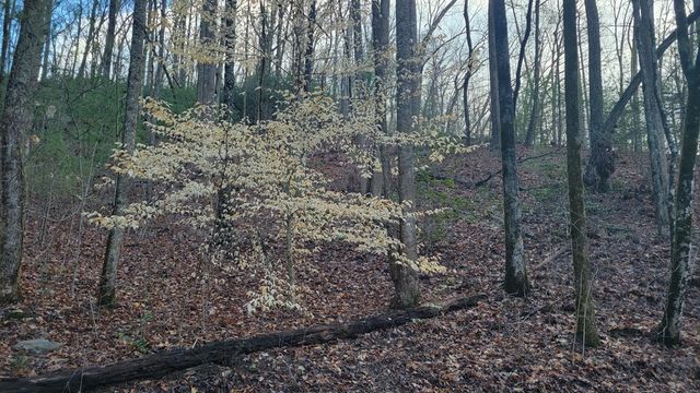 27 Page Lane, Murphy, NC 28906