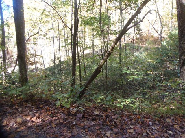 27 Page Lane, Murphy, NC 28906