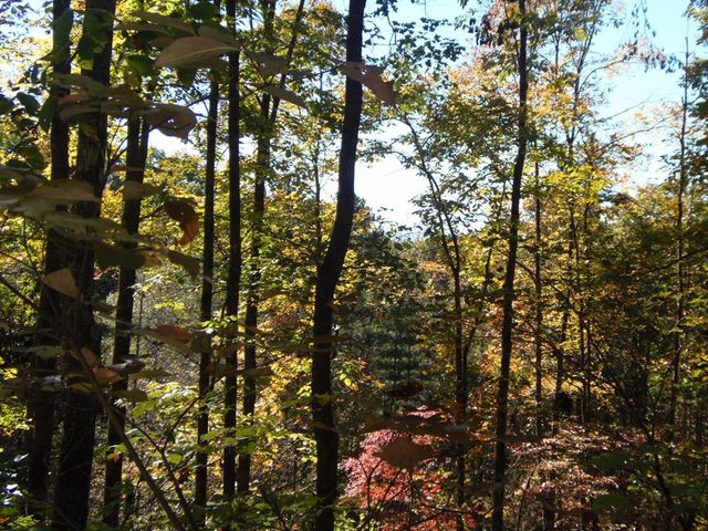 27 Page Lane, Murphy, NC 28906