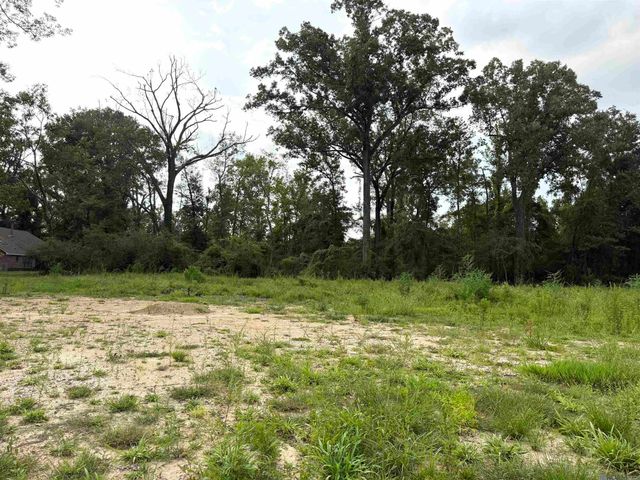 TBD David Dr, Prairieville, LA 70769
