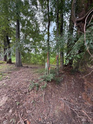 TBD David Dr, Prairieville, LA 70769