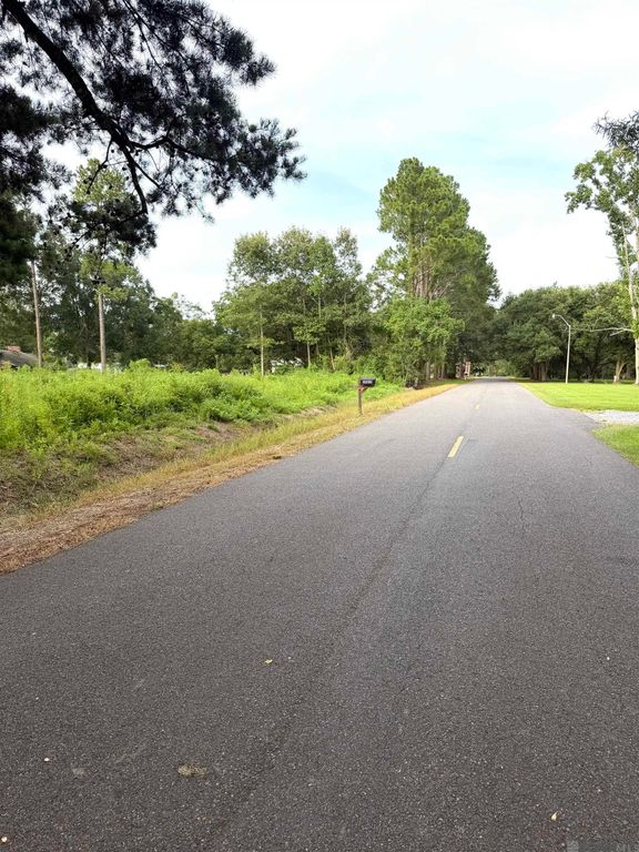 TBD David Dr, Prairieville, LA 70769