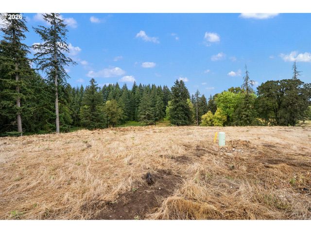 3507 N 12TH Cir, Ridgefield, WA 98642