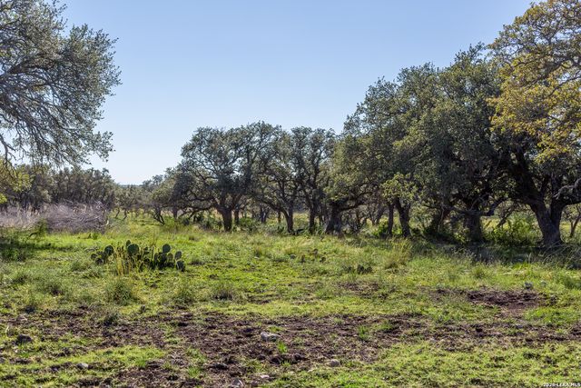 TBD Hwy 39, Hunt, TX 78024