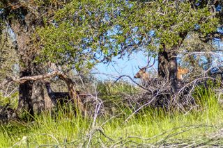 TBD Hwy 39, Hunt, TX 78024