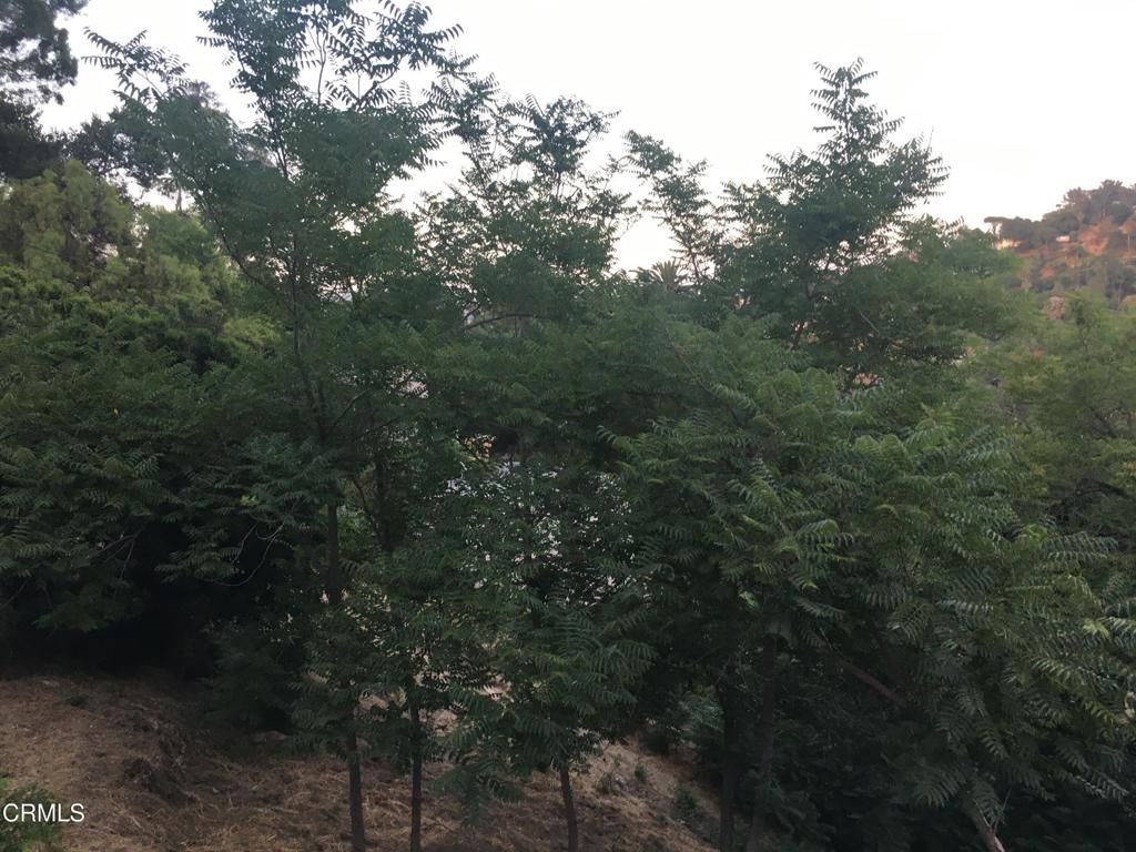 O Earl APN 5422-009-040 Court, Los Angeles, CA 90039