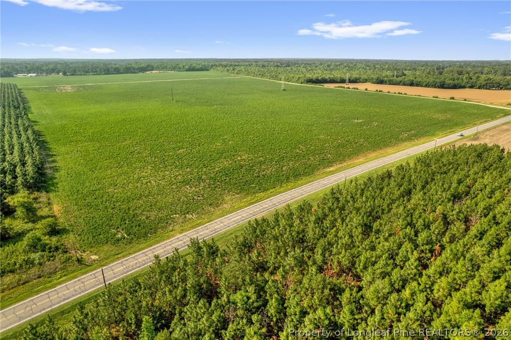 00 Old Wire (Lot 12) Road, Shannon, NC 28386 — photo 10