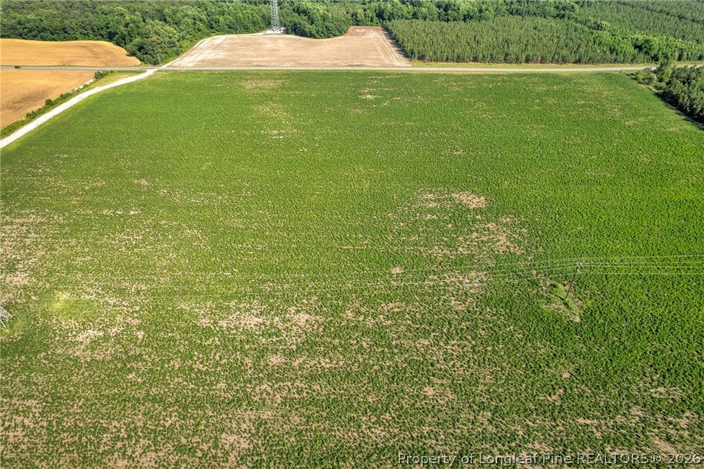00 Old Wire (Lot 12) Road, Shannon, NC 28386 — photo 17