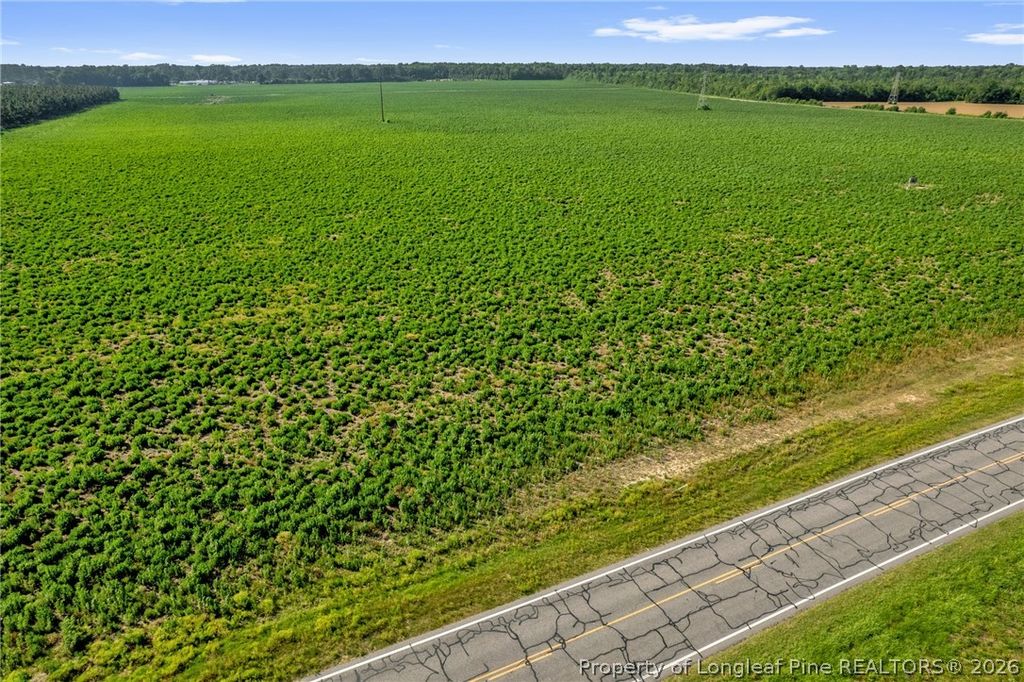 00 Old Wire (Lot 12) Road, Shannon, NC 28386 — photo 4