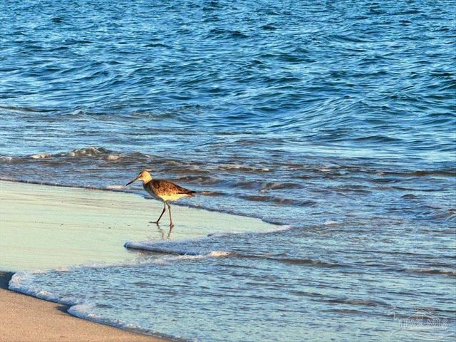 1 Portofino Dr PH3, Pensacola Beach, FL 32561