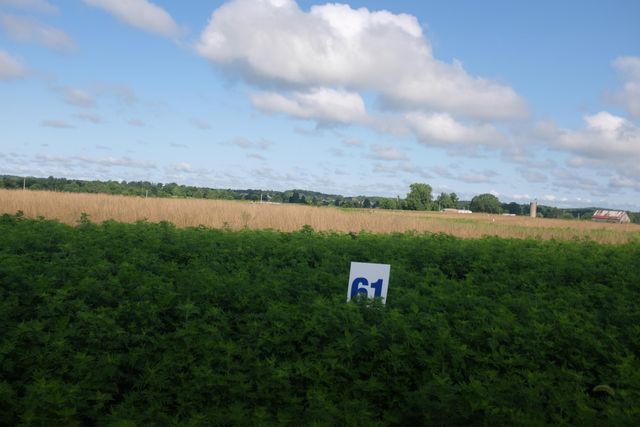 43 Turkey Loop, East Bernstadt, KY 40729