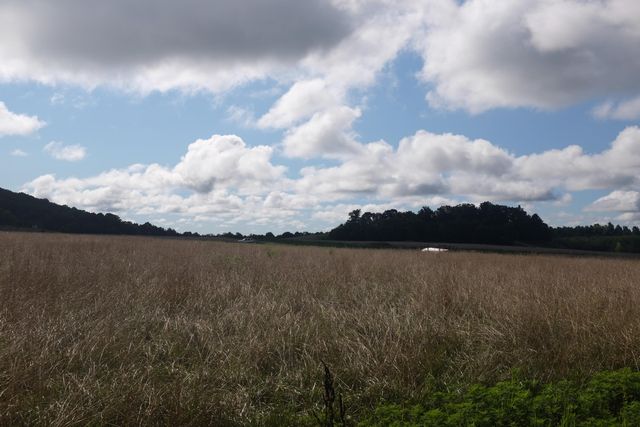 43 Turkey Loop, East Bernstadt, KY 40729