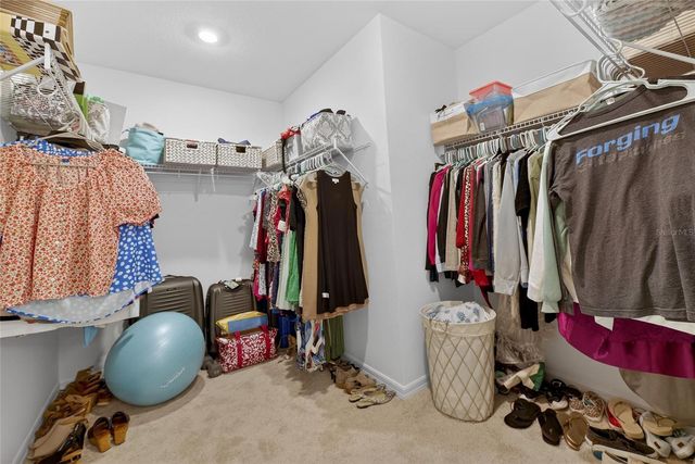 9825 LAST LIGHT GLEN, Parrish, FL 34219