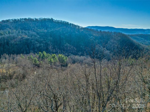 211 Ladys Fern Trail, Laurel Park, NC 28739