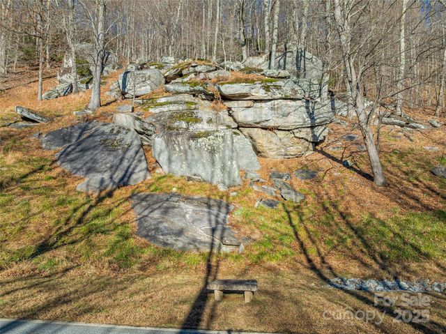 211 Ladys Fern Trail, Laurel Park, NC 28739