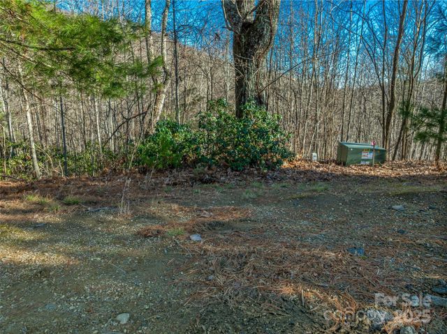 211 Ladys Fern Trail, Laurel Park, NC 28739