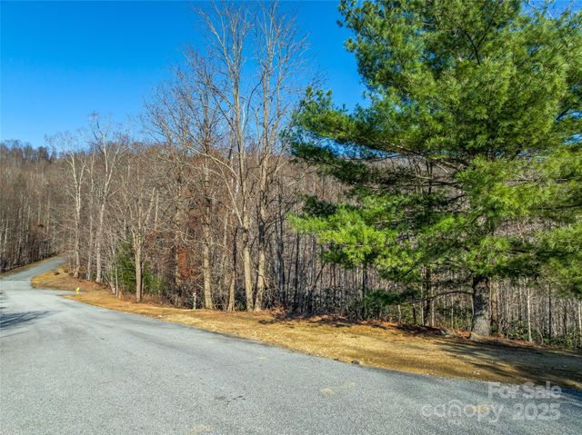 211 Ladys Fern Trail, Laurel Park, NC 28739